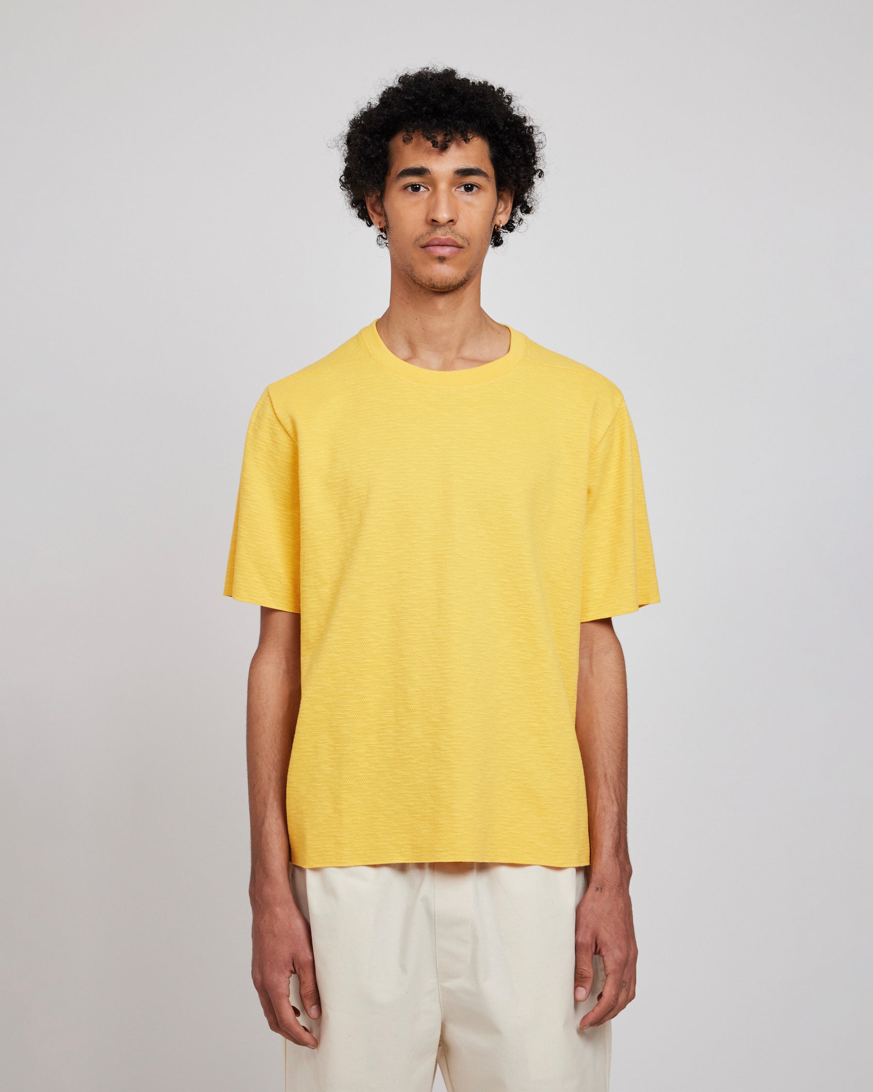 EMILIO DAFFODIL