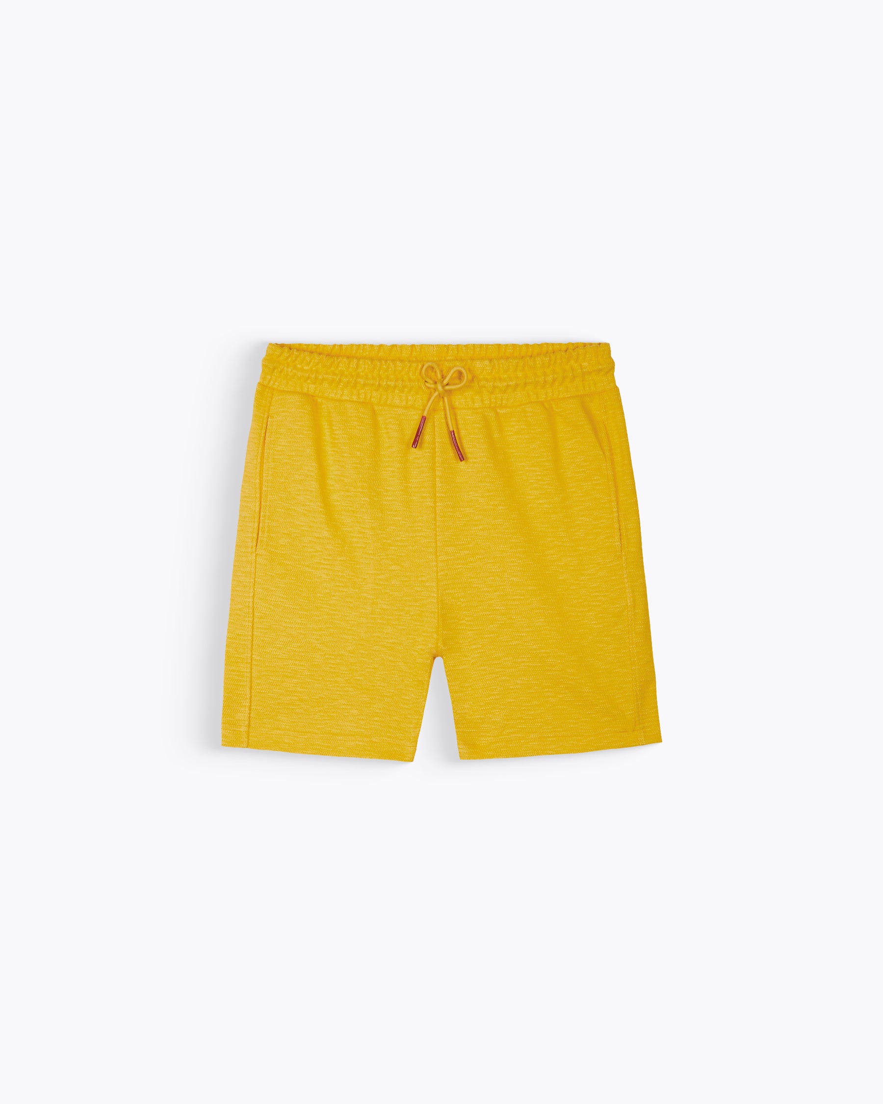 GAEL GRAINE DAFFODIL