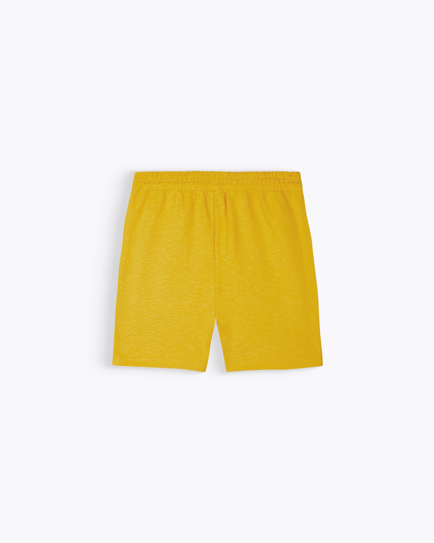 GAEL GRAINE DAFFODIL