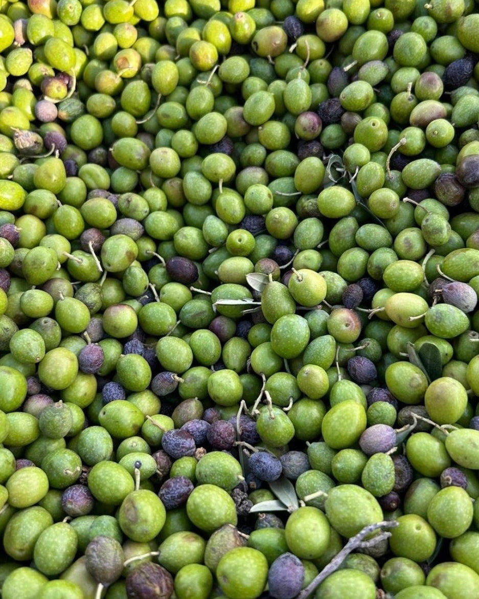 HUILE D'OLIVE EXTRA VIERGE DE SICILE 5L