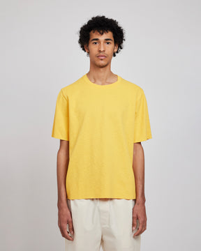 EMILIO DAFFODIL
