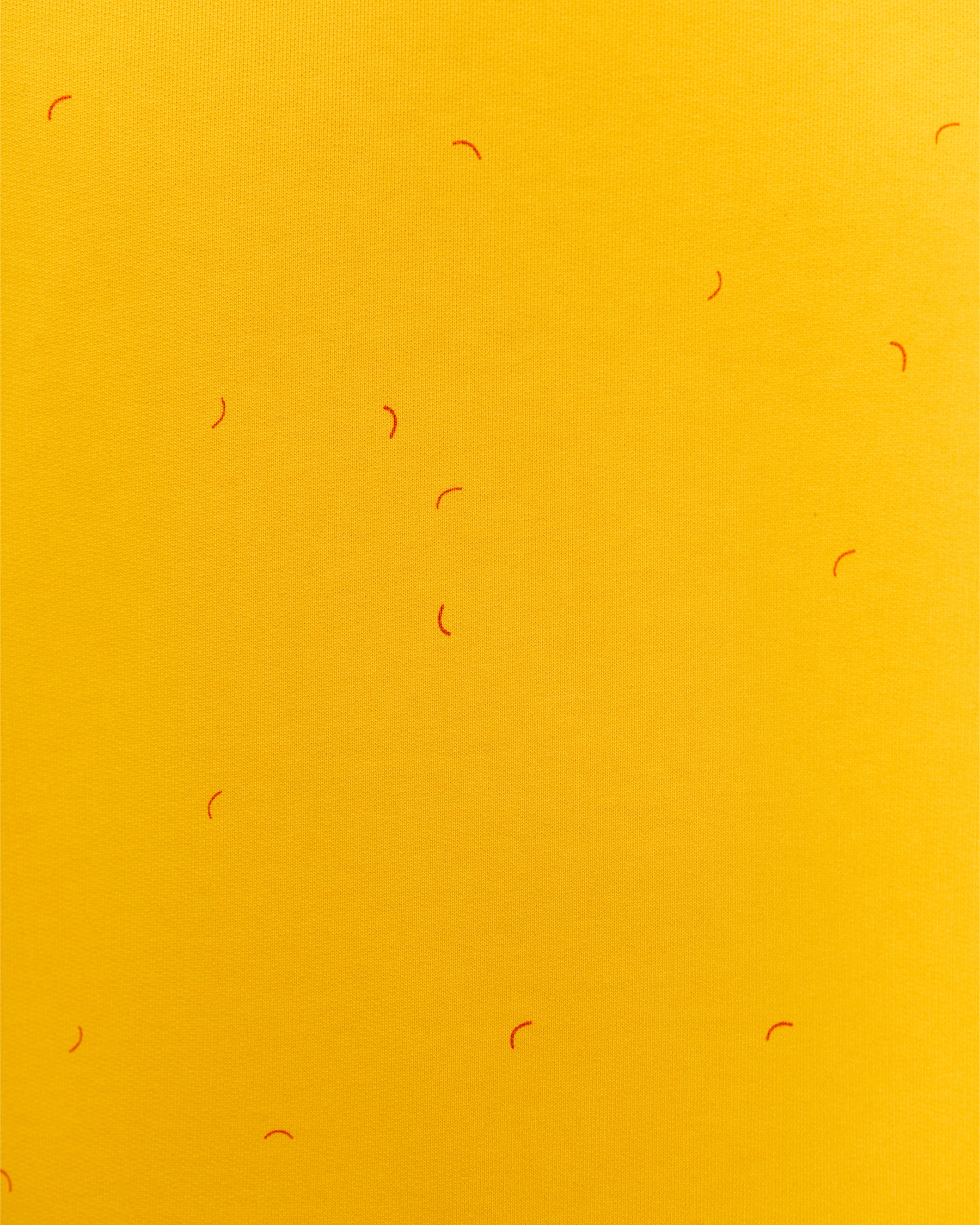 PRANA LEMON CHROME SWEATSHIRT