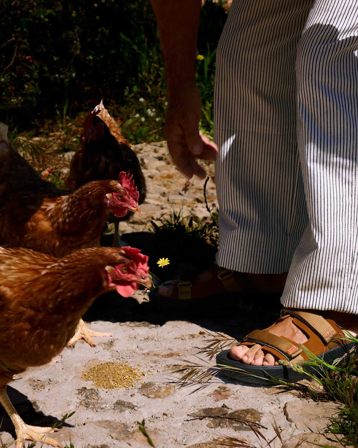 SANDAL ARPOADOR MEN COGNAC